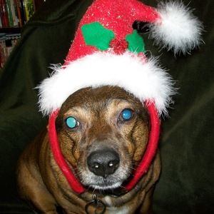 Meet your Posher, Jetta